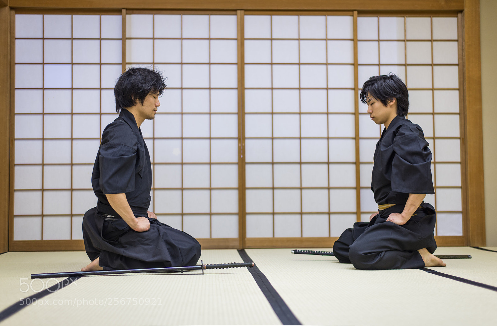 Nikon D610 sample photo. Samurai training in a photography