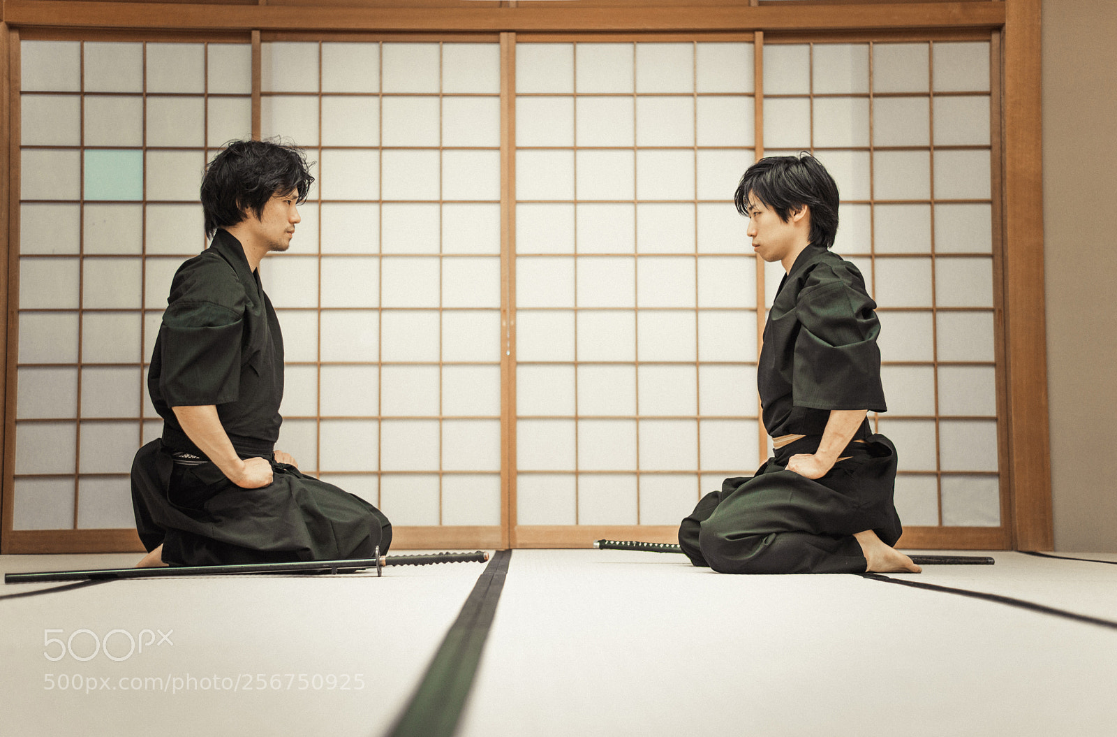 Nikon D610 sample photo. Samurai training in a photography