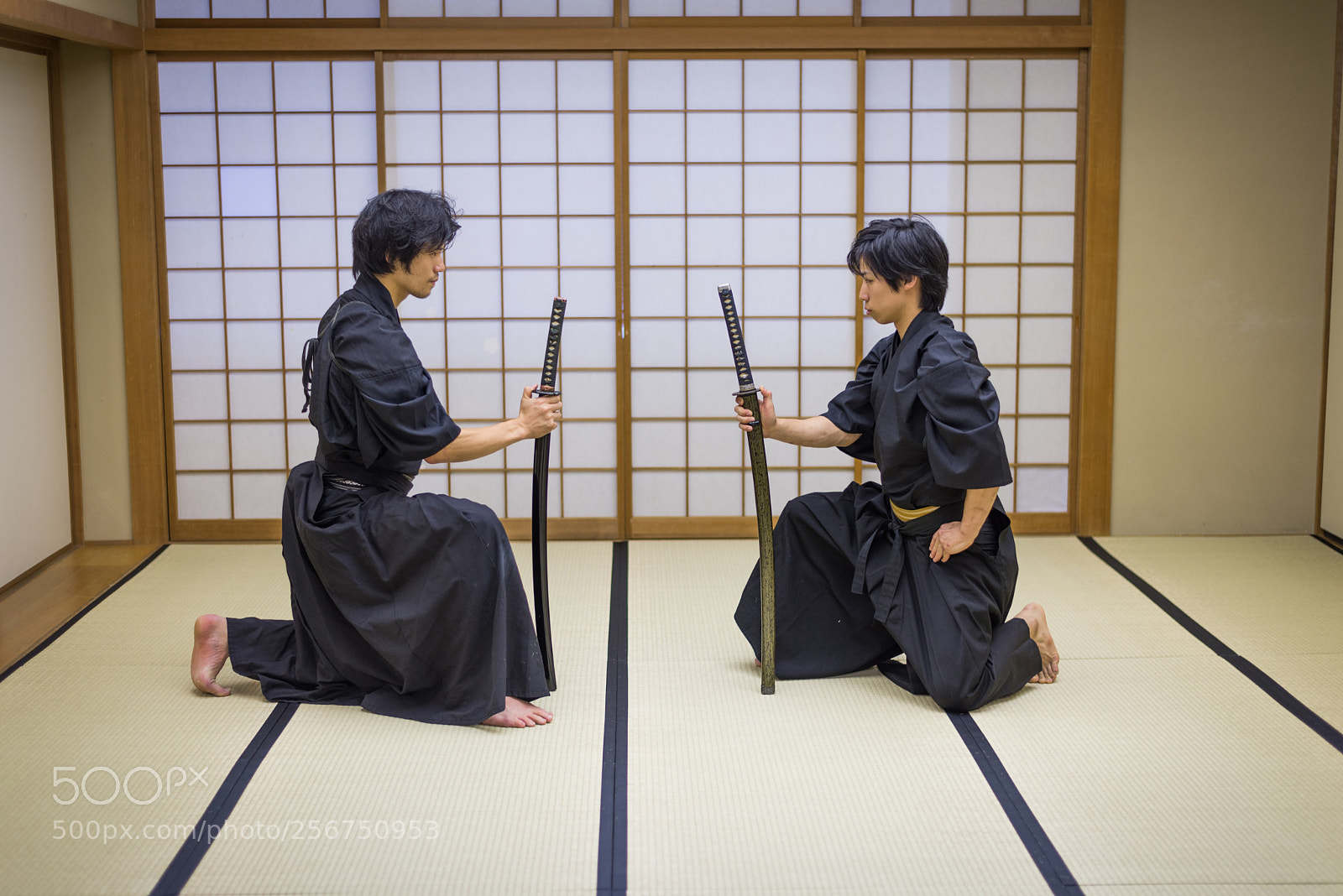 Nikon D610 sample photo. Samurai training in a photography