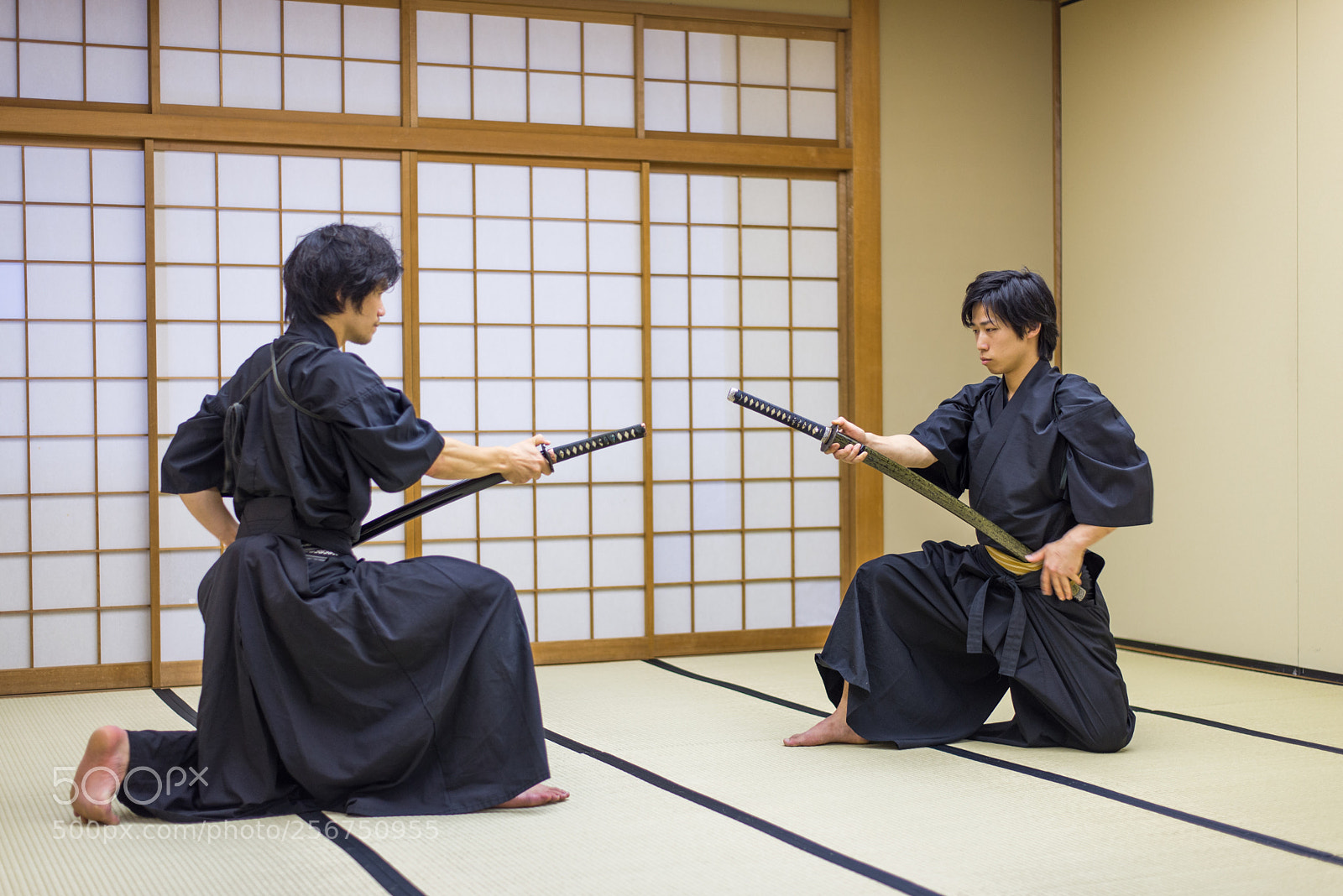 Nikon D610 sample photo. Samurai training in a photography