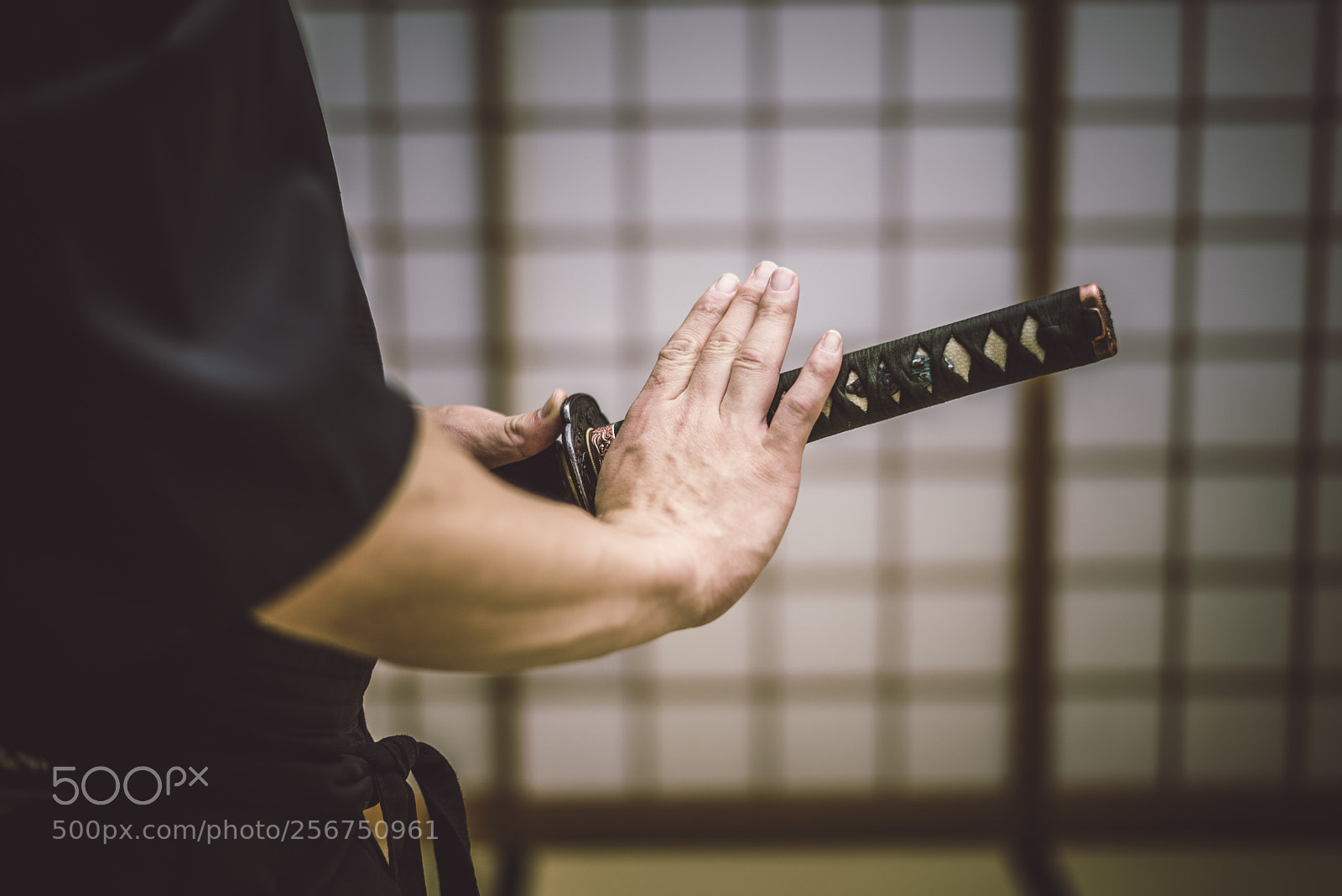Nikon D610 sample photo. Samurai training in a photography