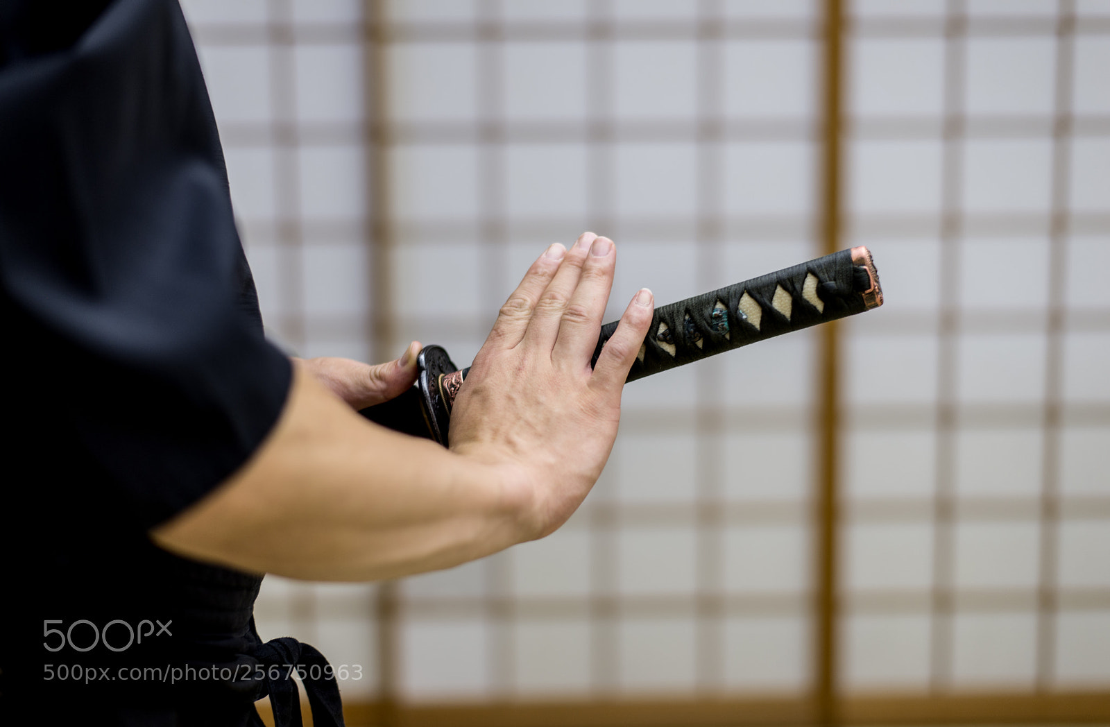Nikon D610 sample photo. Samurai training in a photography