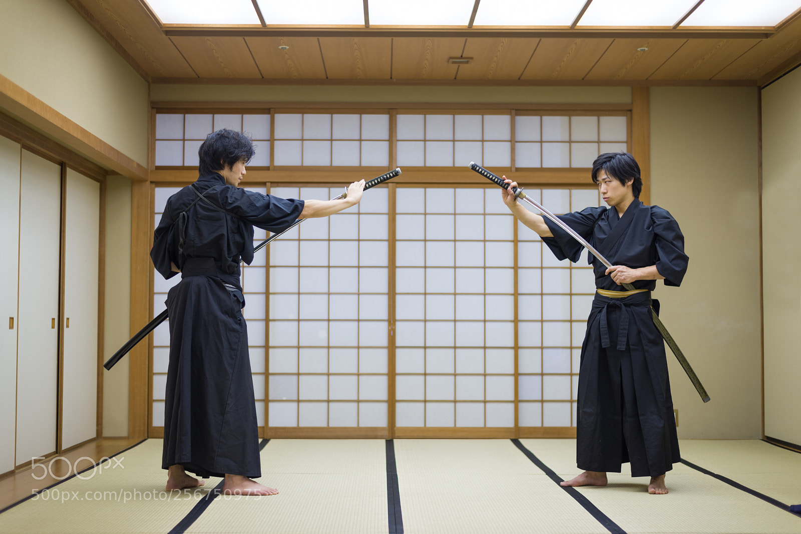 Nikon D610 sample photo. Samurai training in a photography