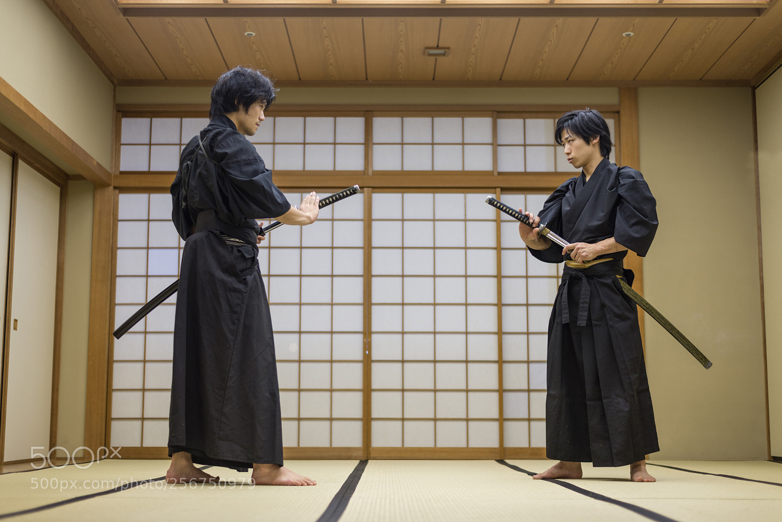 Nikon D610 sample photo. Samurai training in a photography
