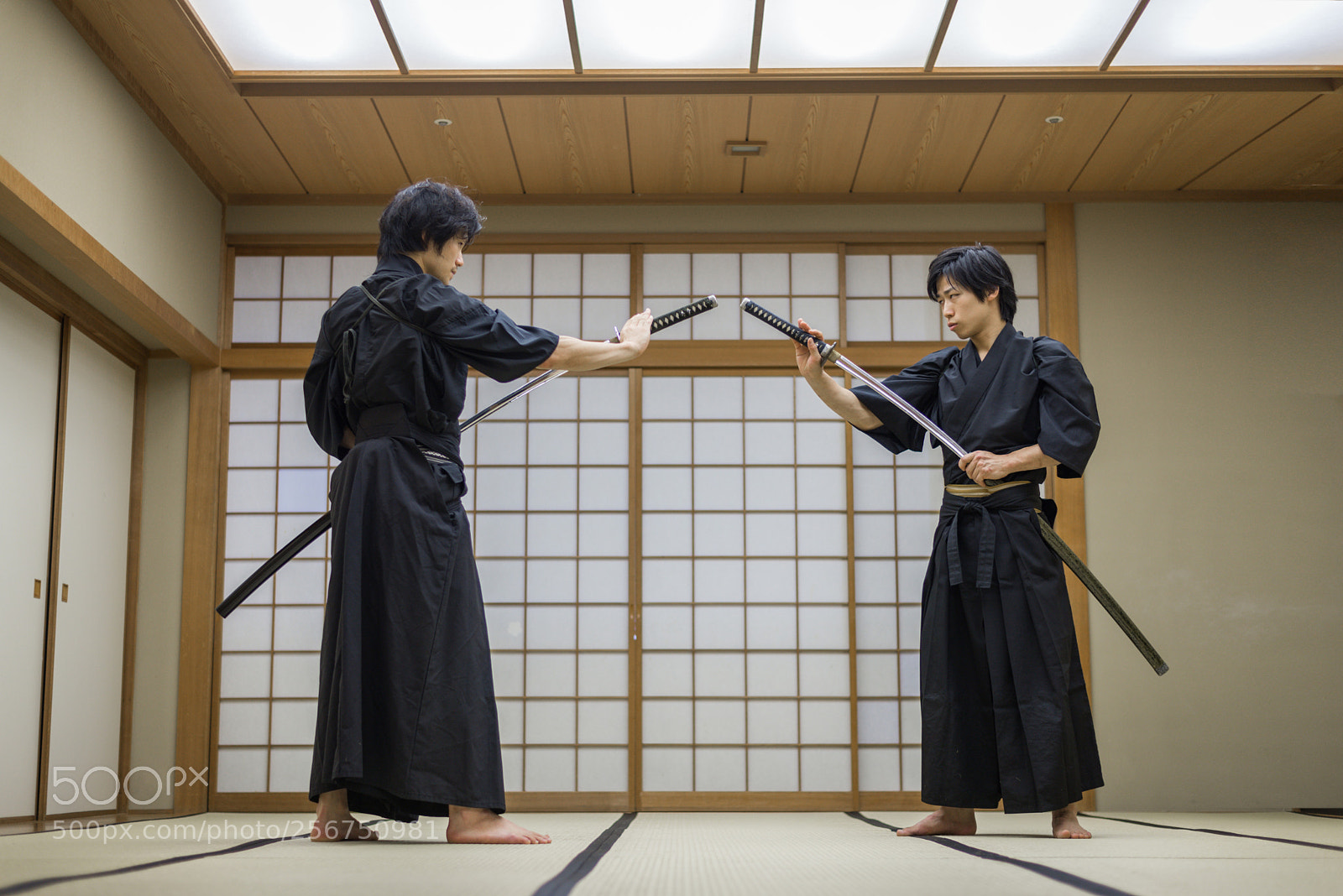 Nikon D610 sample photo. Samurai training in a photography