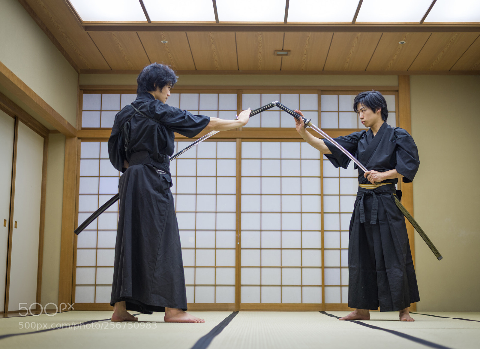 Nikon D610 sample photo. Samurai training in a photography