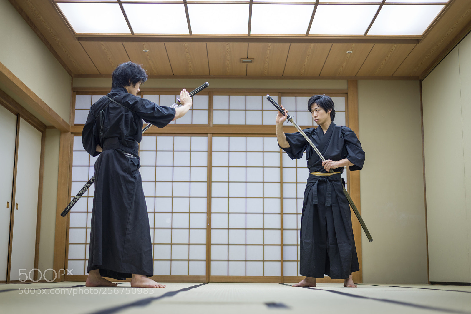 Nikon D610 sample photo. Samurai training in a photography