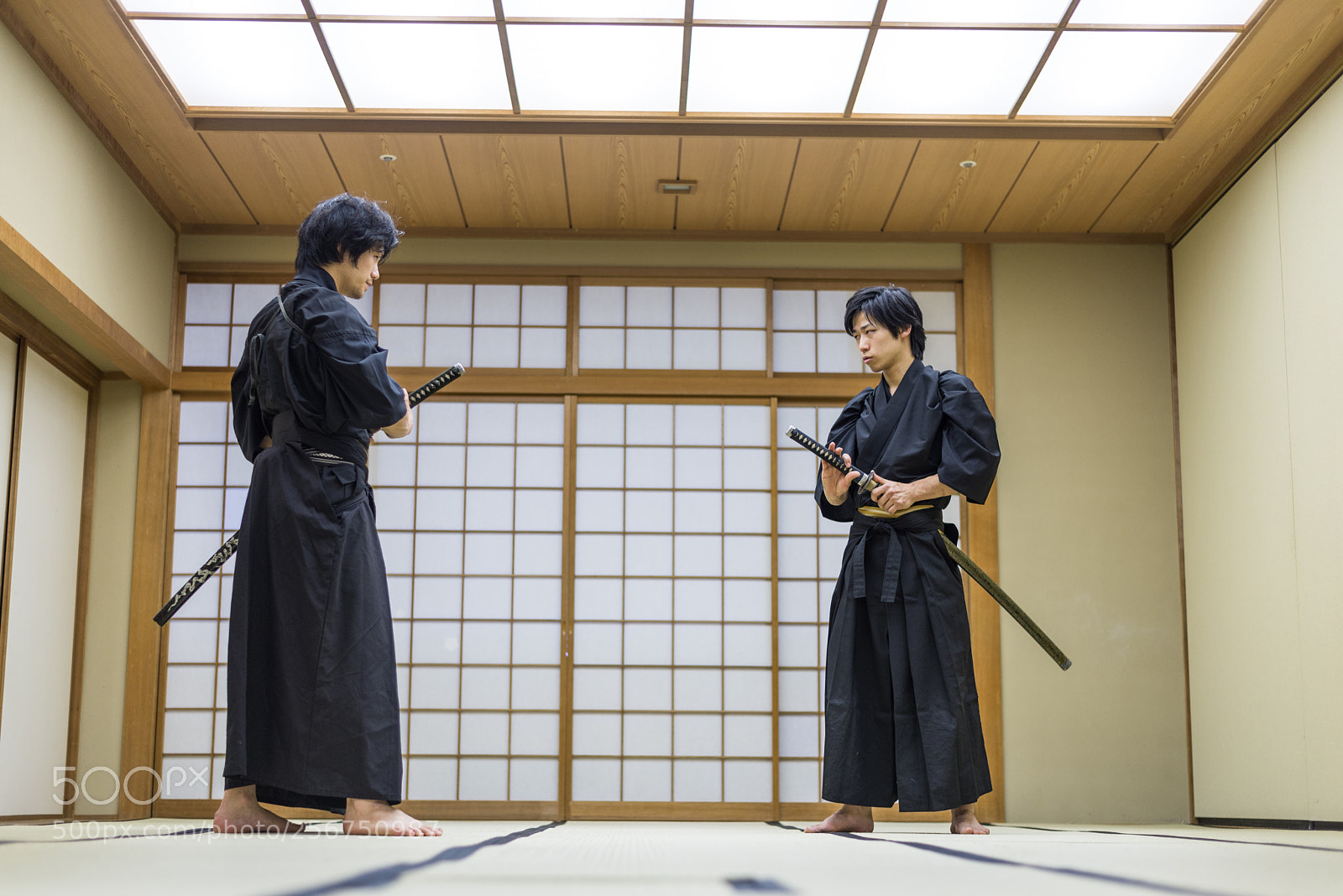Nikon D610 sample photo. Samurai training in a photography