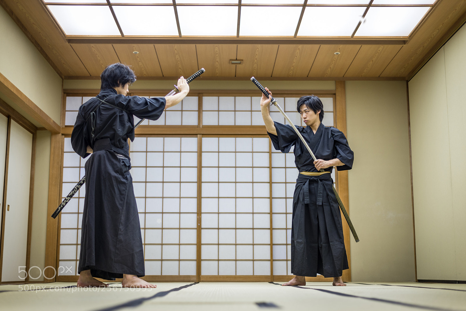 Nikon D610 sample photo. Samurai training in a photography