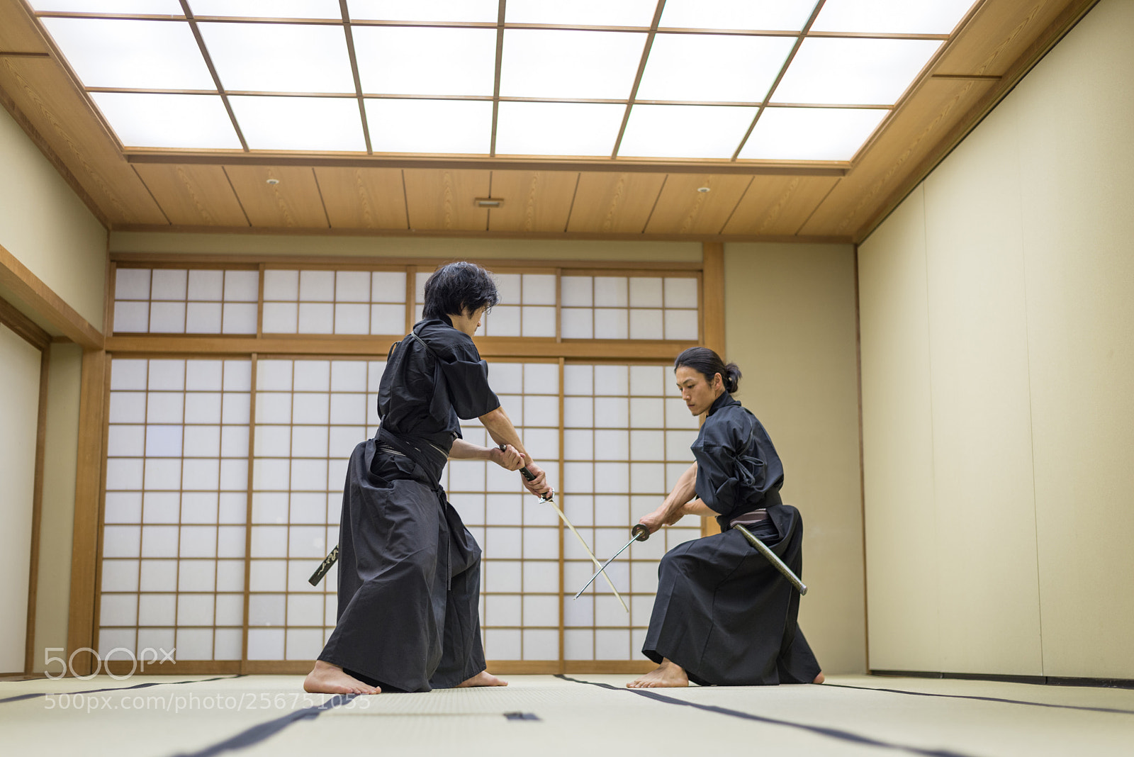 Nikon D610 sample photo. Samurai training in a photography