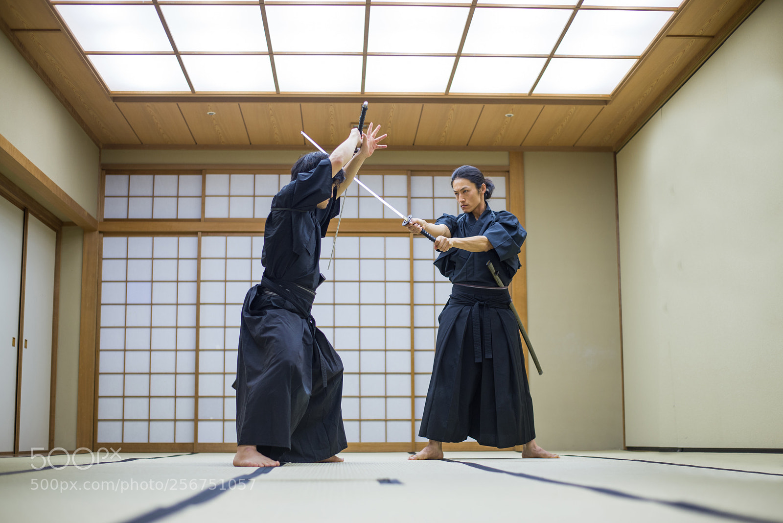Nikon D610 sample photo. Samurai training in a photography