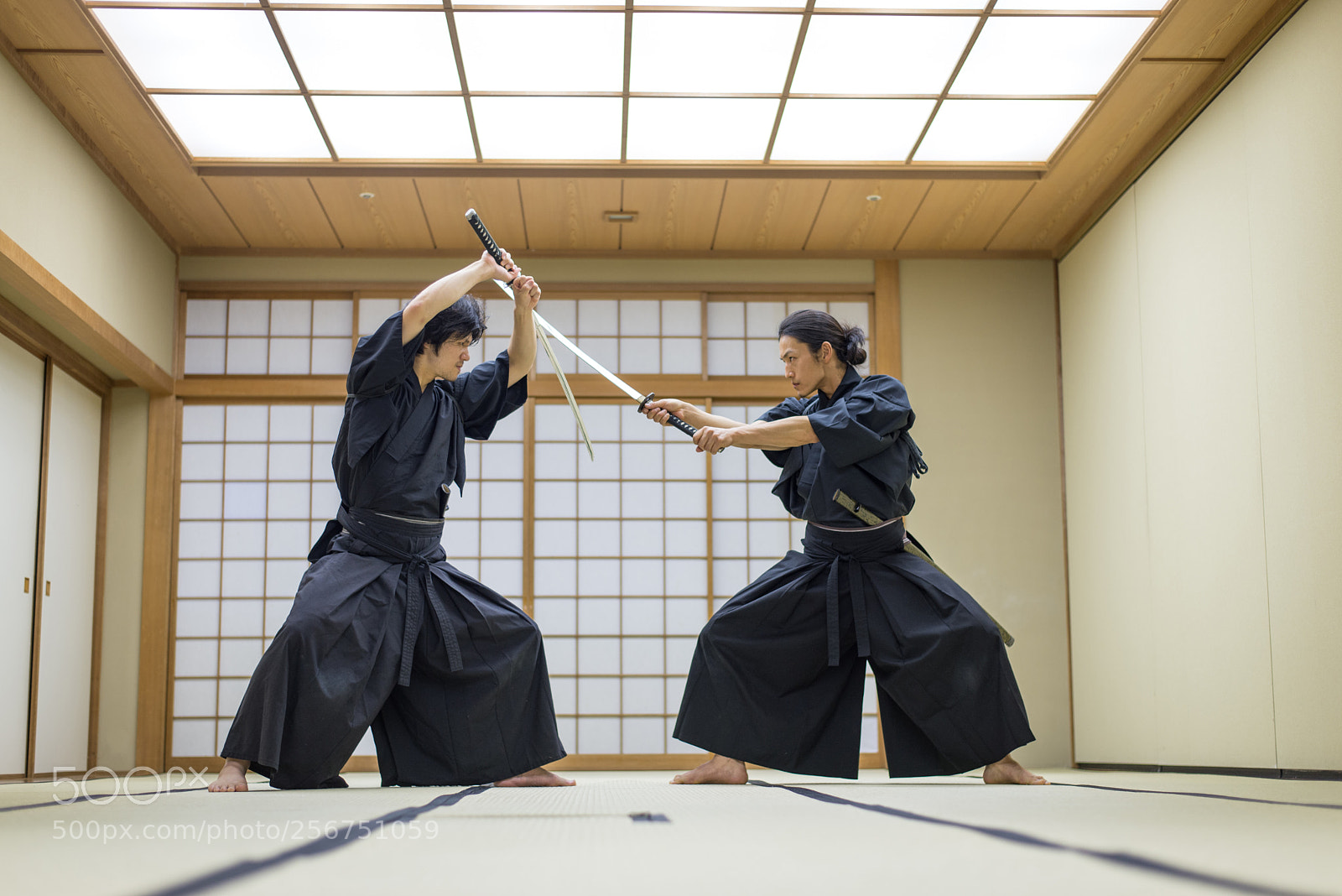 Nikon D610 sample photo. Samurai training in a photography