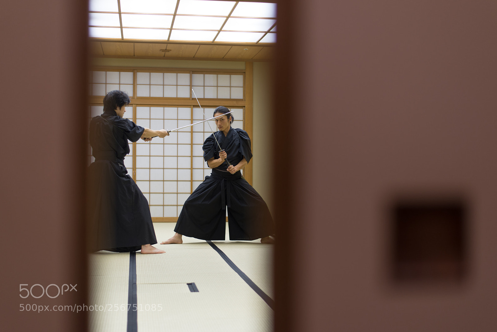 Nikon D610 sample photo. Samurai training in a photography