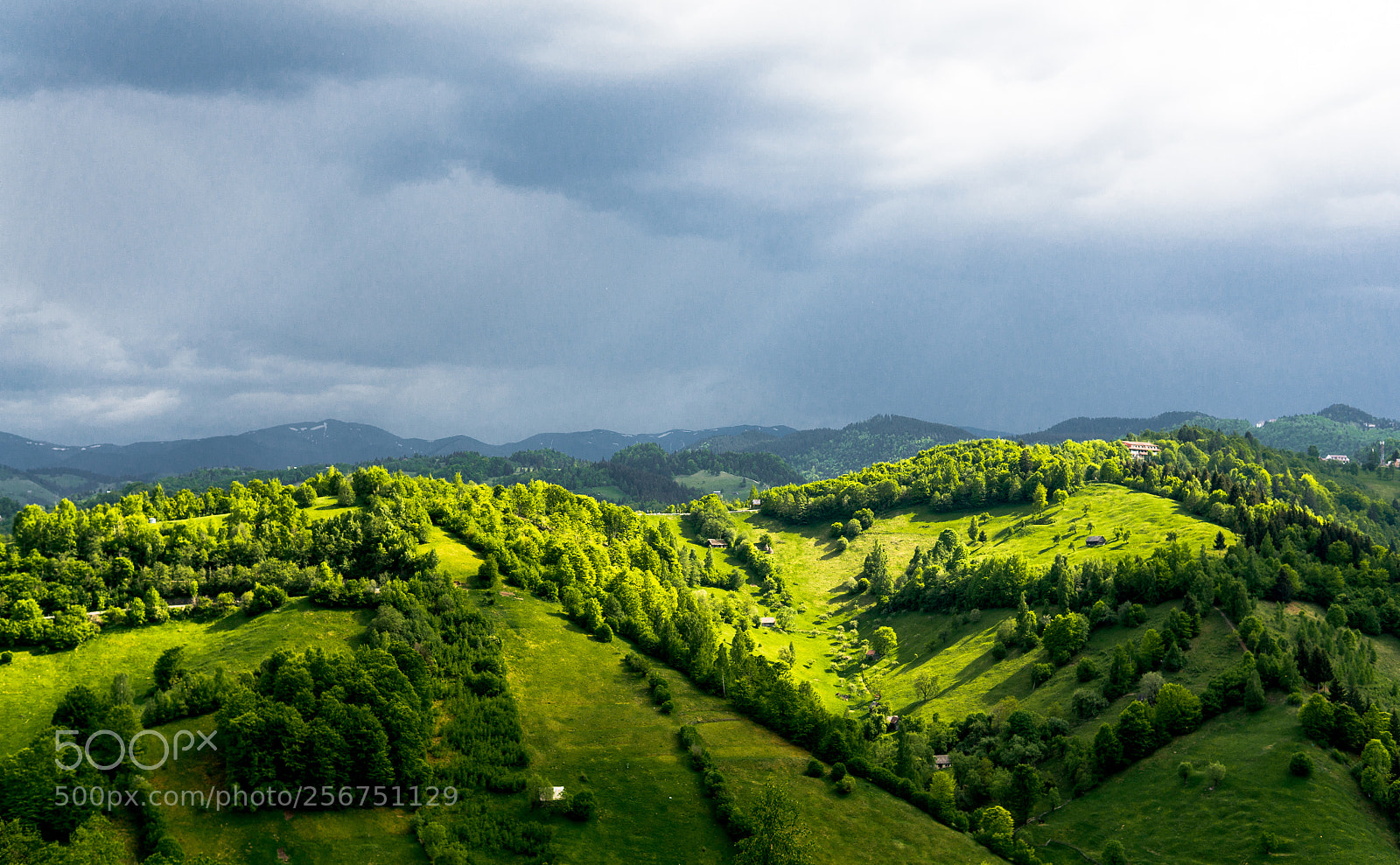 Sony Alpha NEX-6 sample photo. Greenlight photography