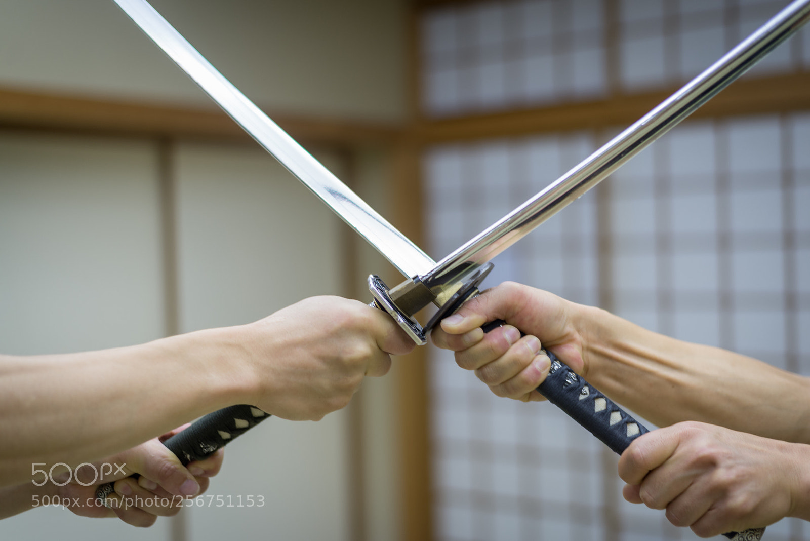 Nikon D610 sample photo. Samurai training in a photography