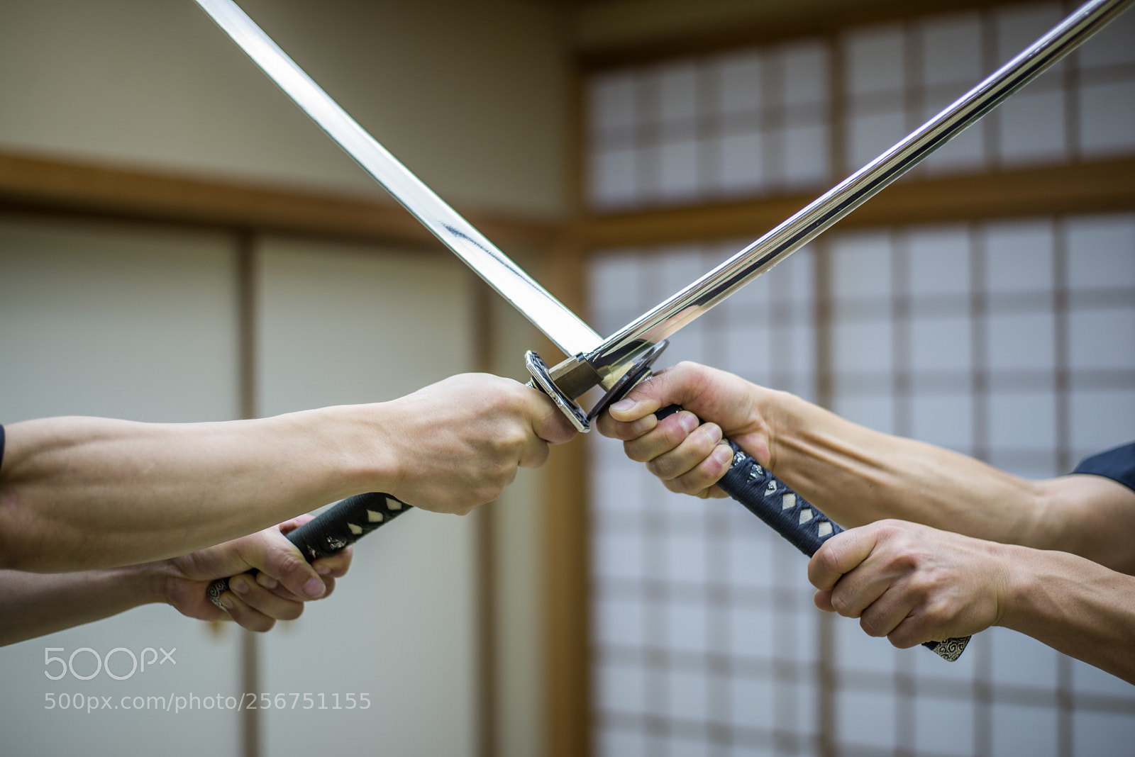 Nikon D610 sample photo. Samurai training in a photography