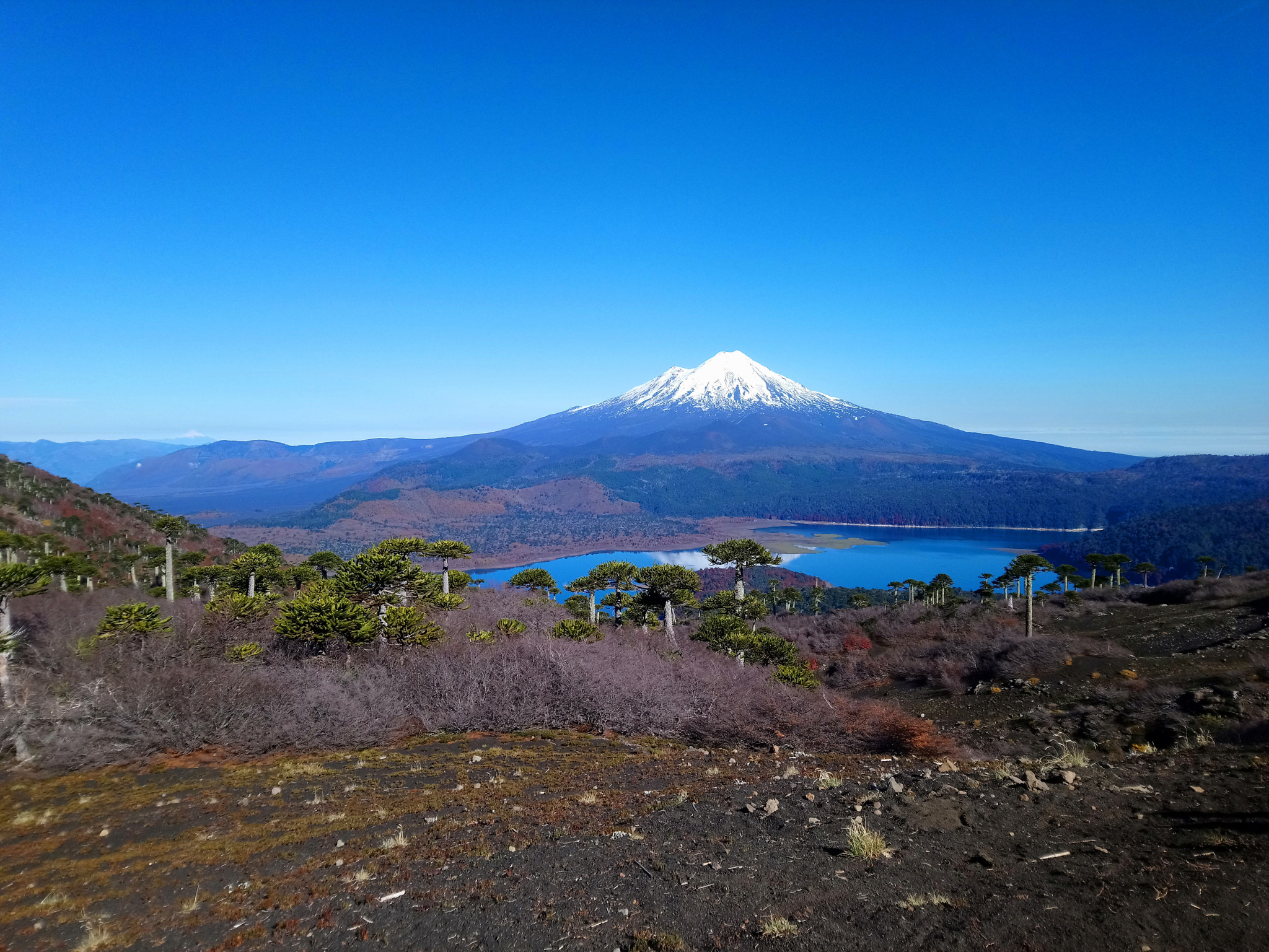 Sony Xperia XA1 Ultra sample photo. Volcán llaima photography