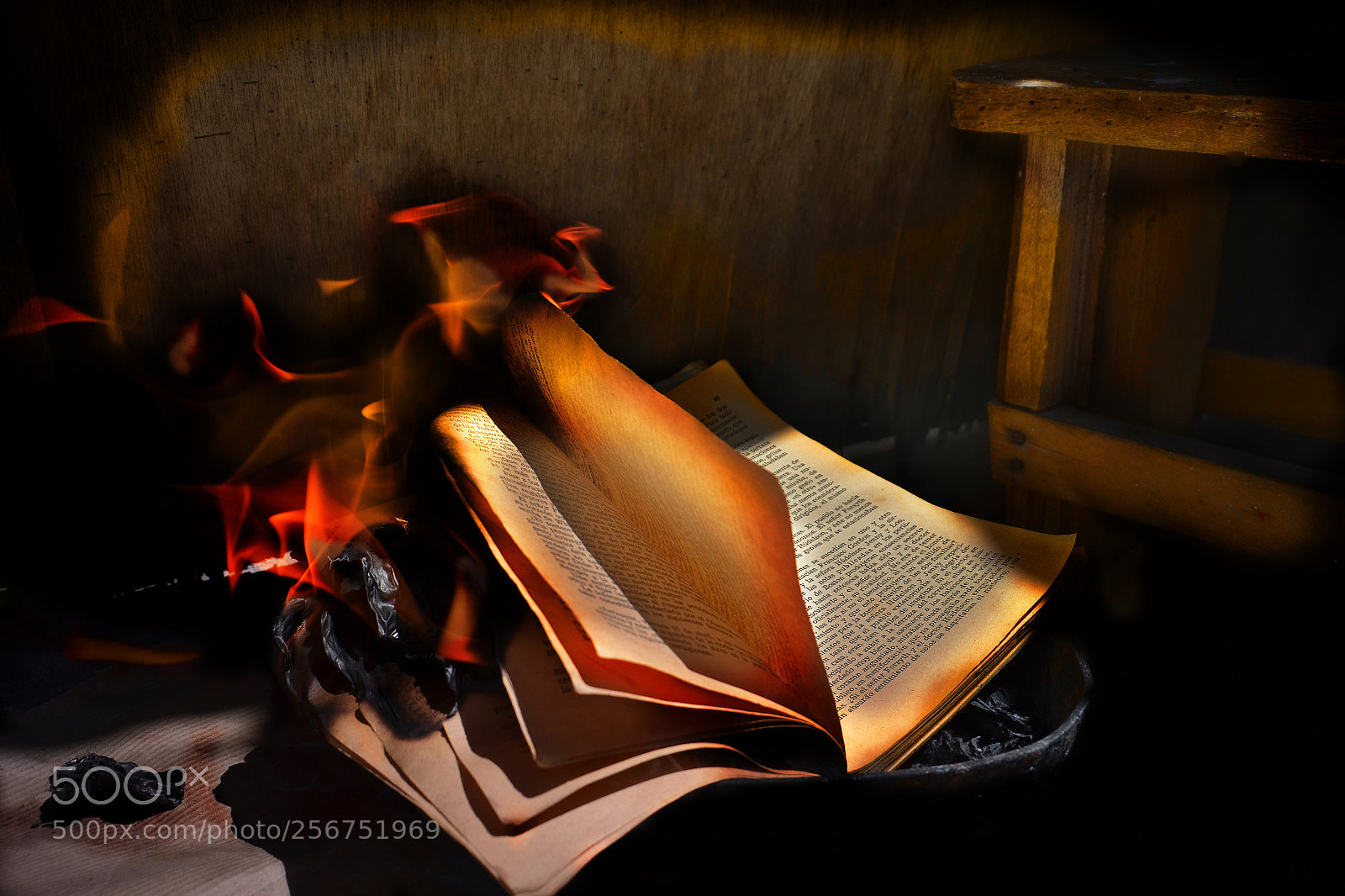 Nikon D5100 sample photo. Life in a book photography