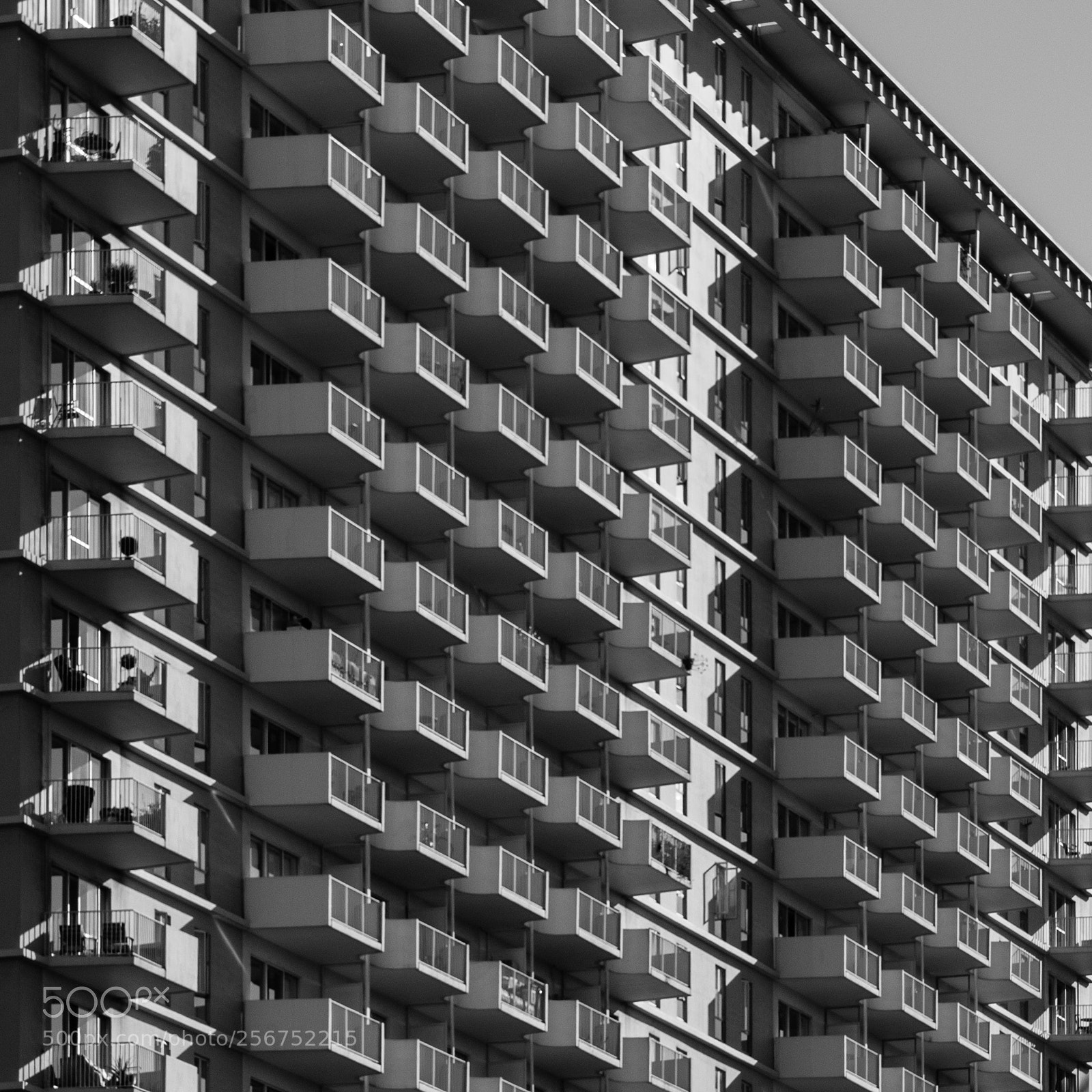 Canon EOS 70D sample photo. Concrete happy nest photography