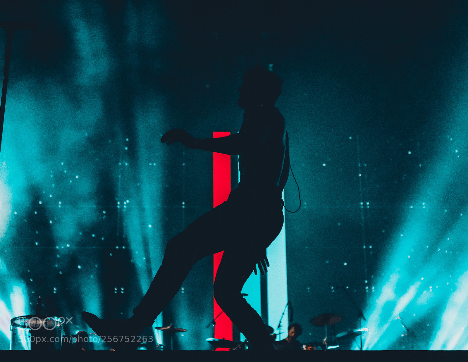 Canon EOS 70D sample photo. Imagine dragons lollapalooza br photography