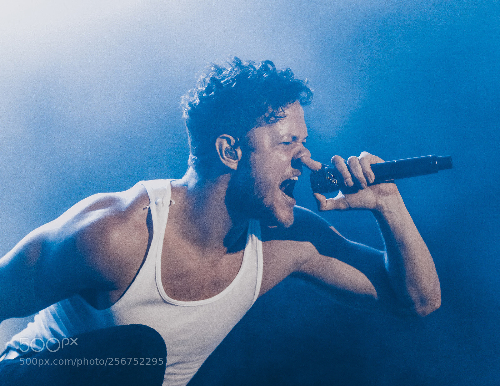 Canon EOS 70D sample photo. Imagine dragons lollapalooza br photography
