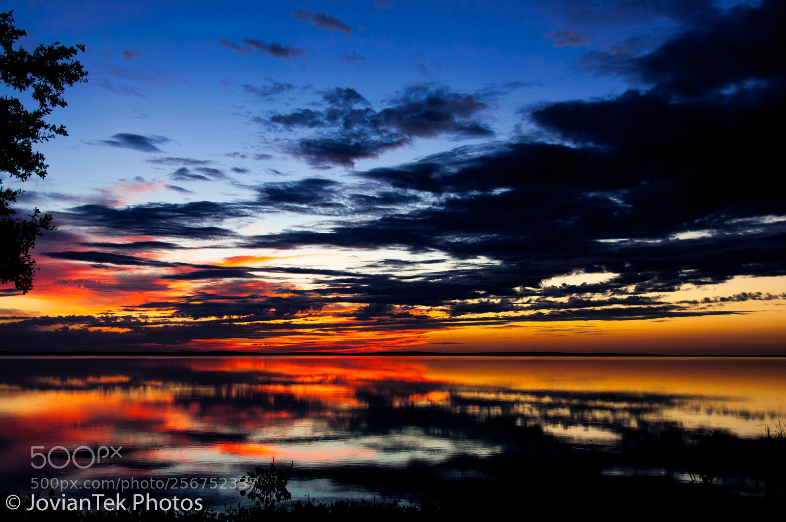 Nikon D300 sample photo. Lake apopka sunset 2 photography