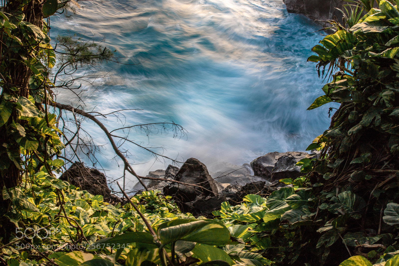 Canon EOS 6D Mark II sample photo. Green & blue photography
