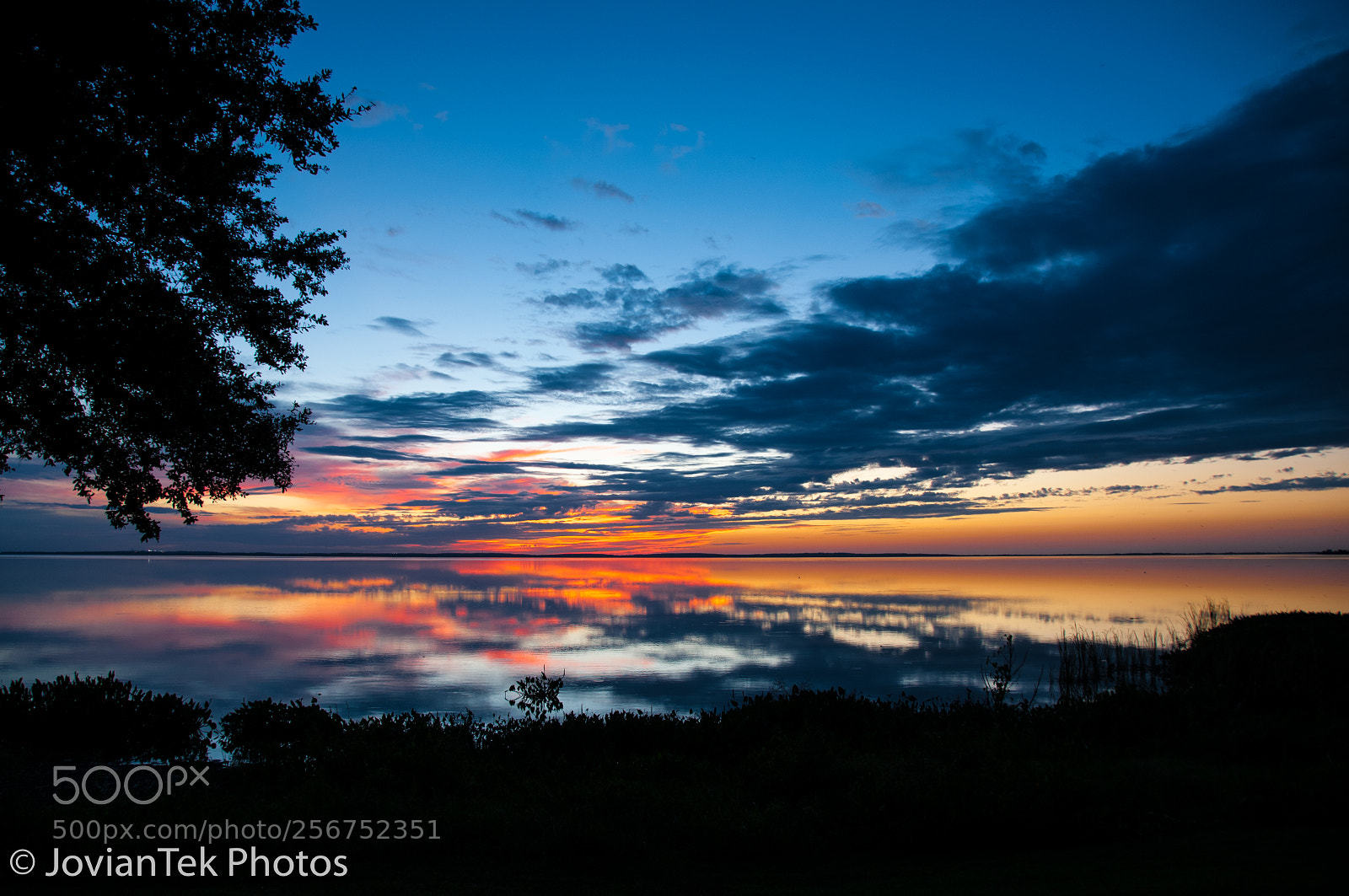 Nikon D300 sample photo. Lake apopka sunset 1 photography