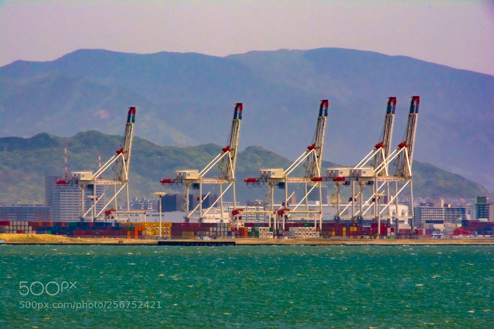Nikon D7100 sample photo. Iron giraffes of seaport photography