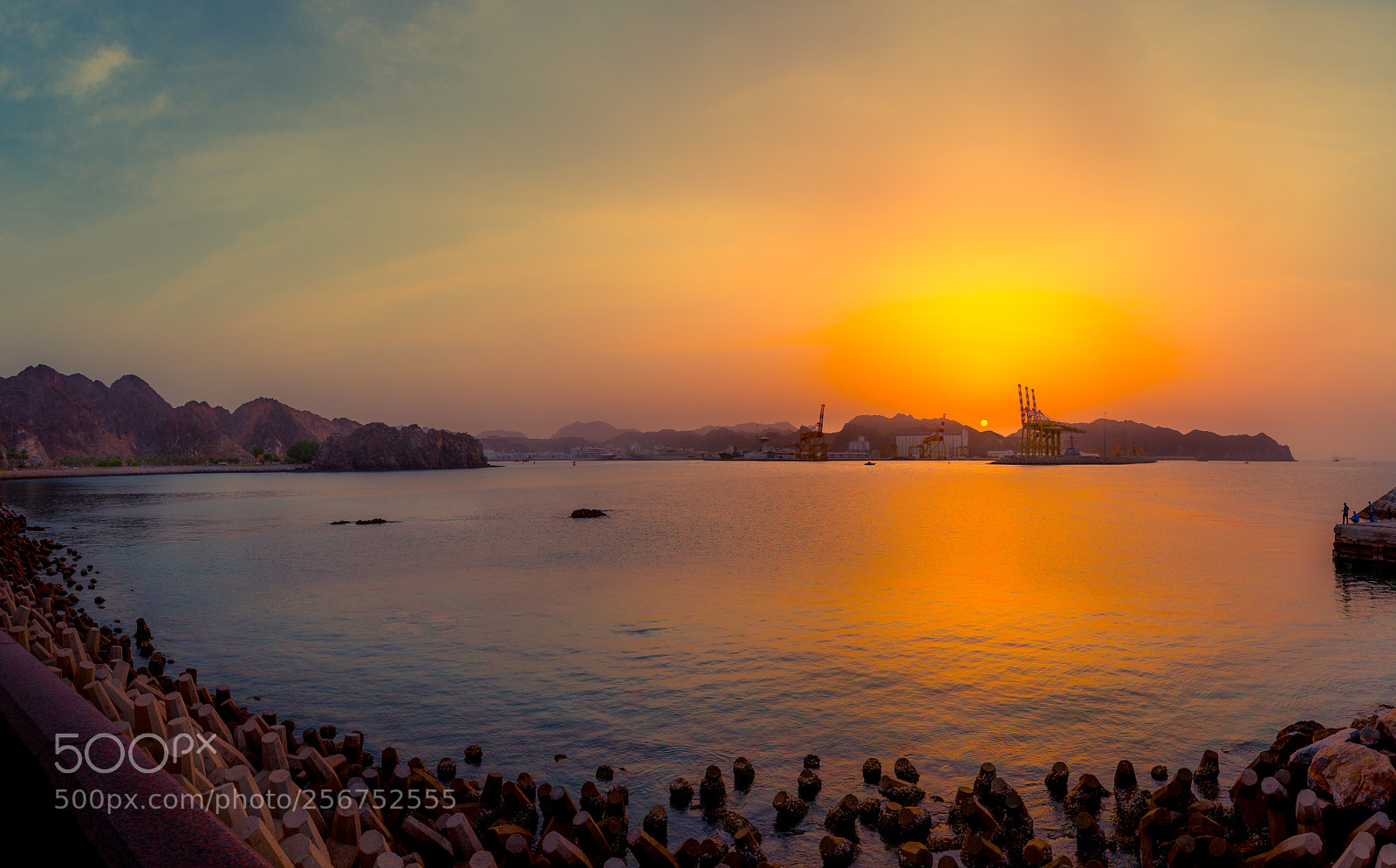 Nikon D750 sample photo. Muscat- oman photography