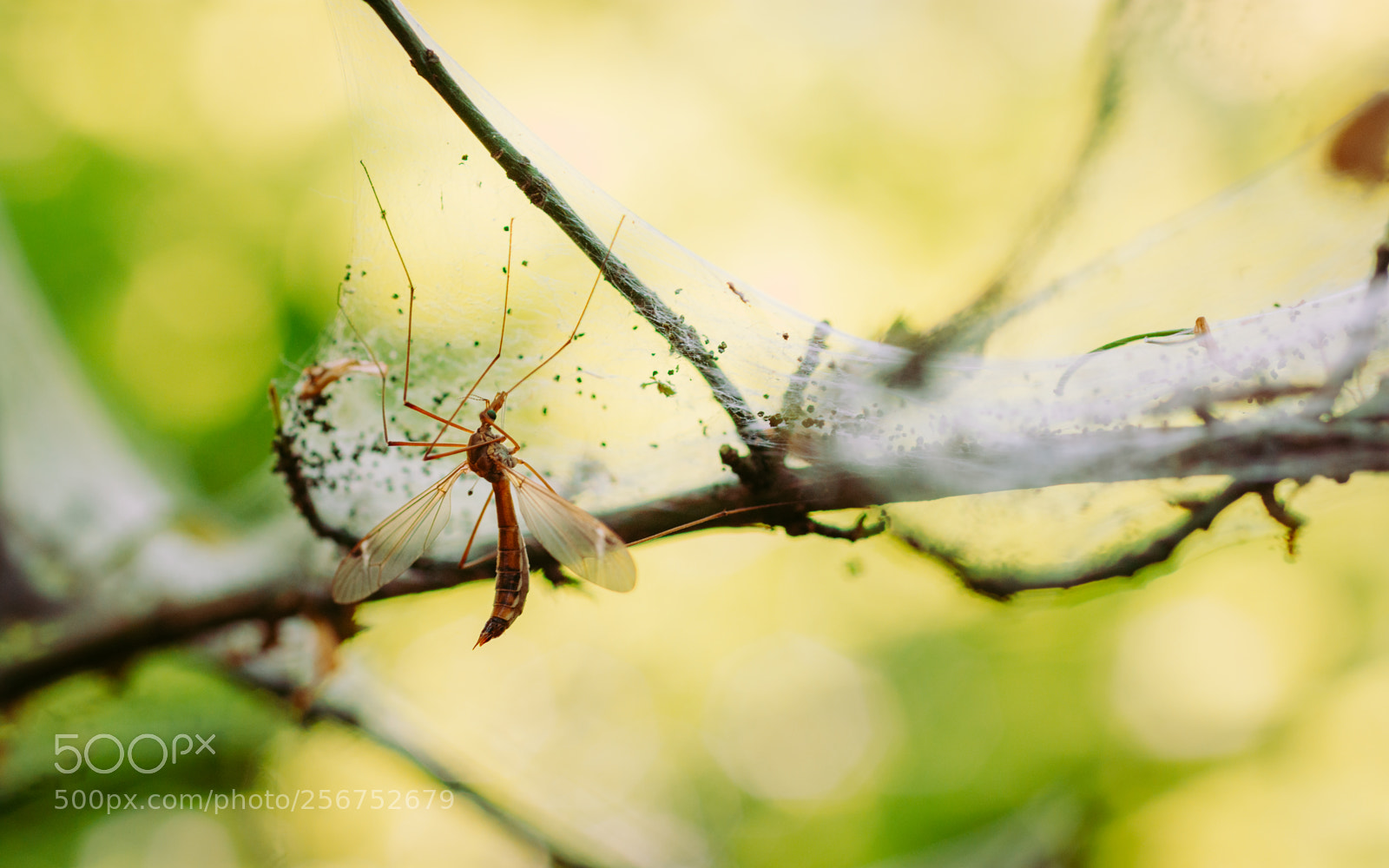 Nikon D7200 sample photo. Bad day photography