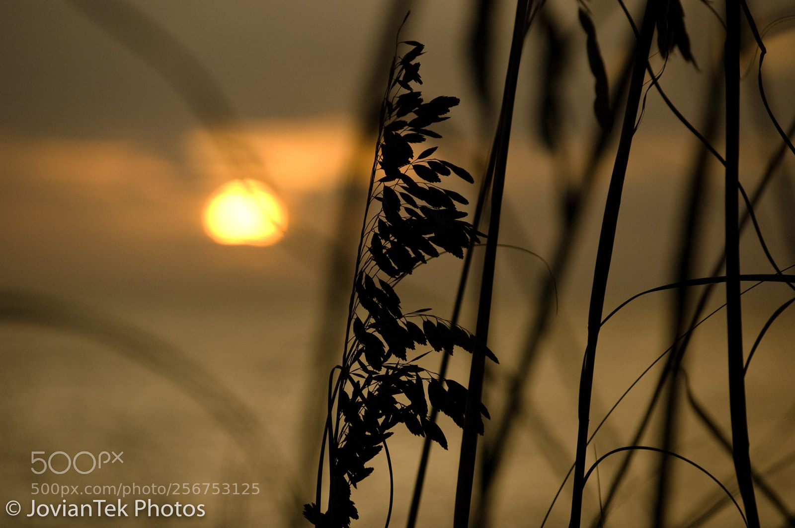Nikon D70s sample photo. Sunset nokomis beach photography
