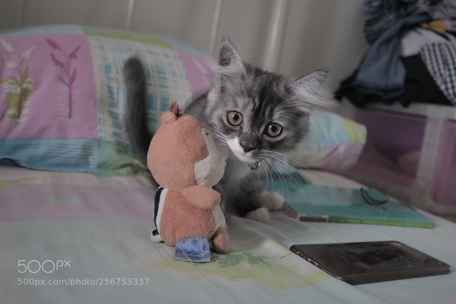 Canon EOS 70D sample photo. Untitled photography