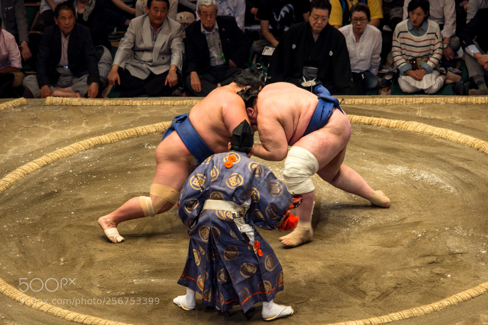 Canon EOS 600D (Rebel EOS T3i / EOS Kiss X5) sample photo. Sumo photography
