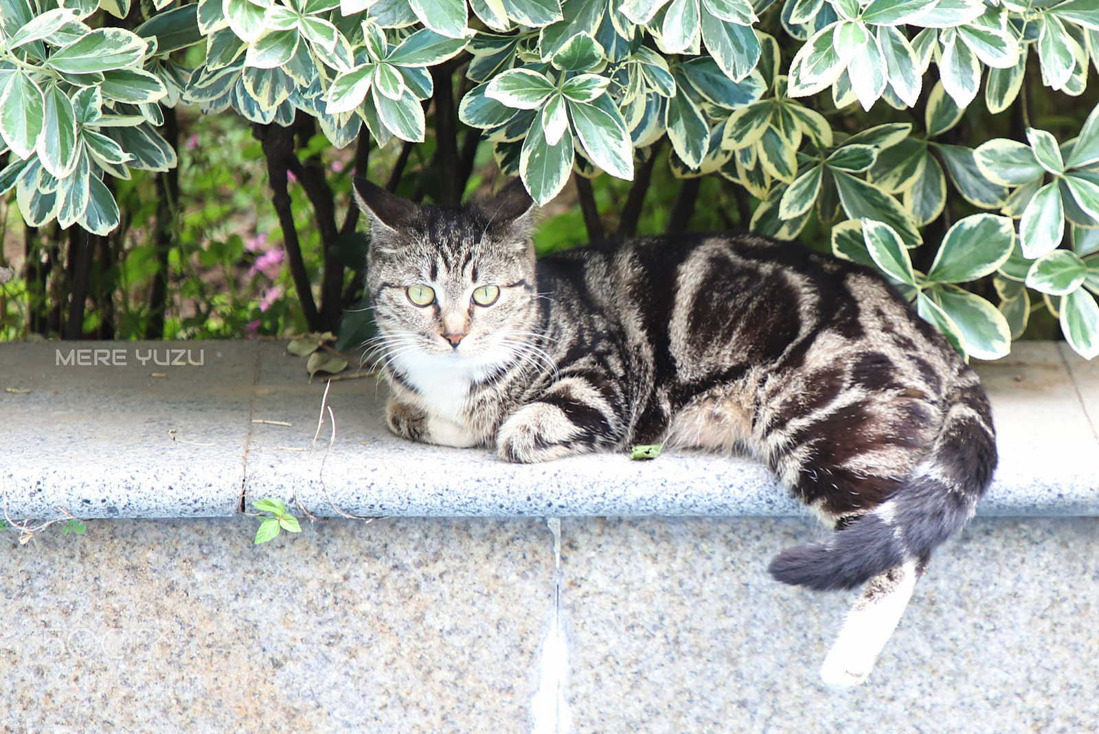 Canon EOS 6D Mark II sample photo. Encounter photography