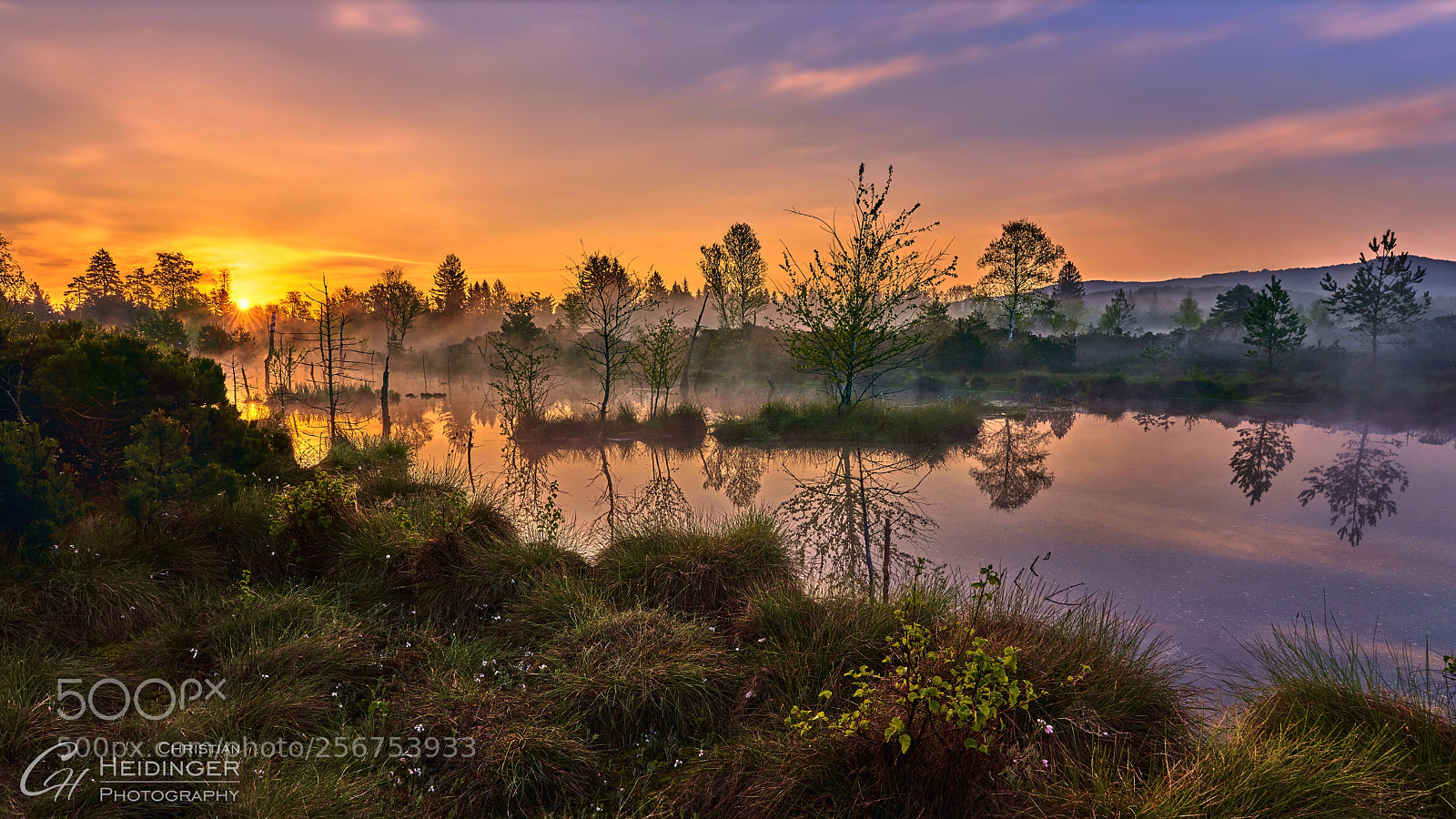 Sony a7R III sample photo. Sonnenaufgang im moor photography