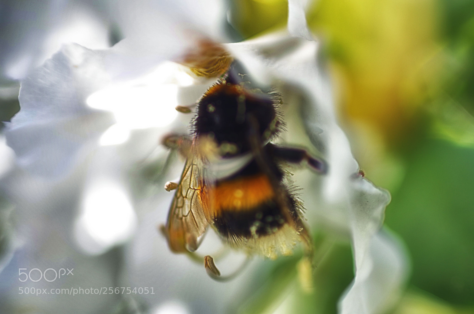 Pentax K-30 sample photo. Untitled photography