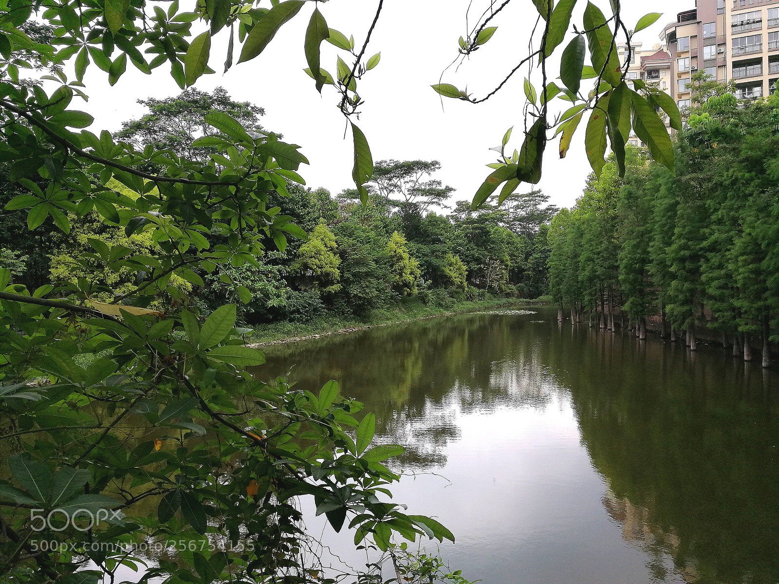 HUAWEI Mate 9 sample photo. Untitled photography