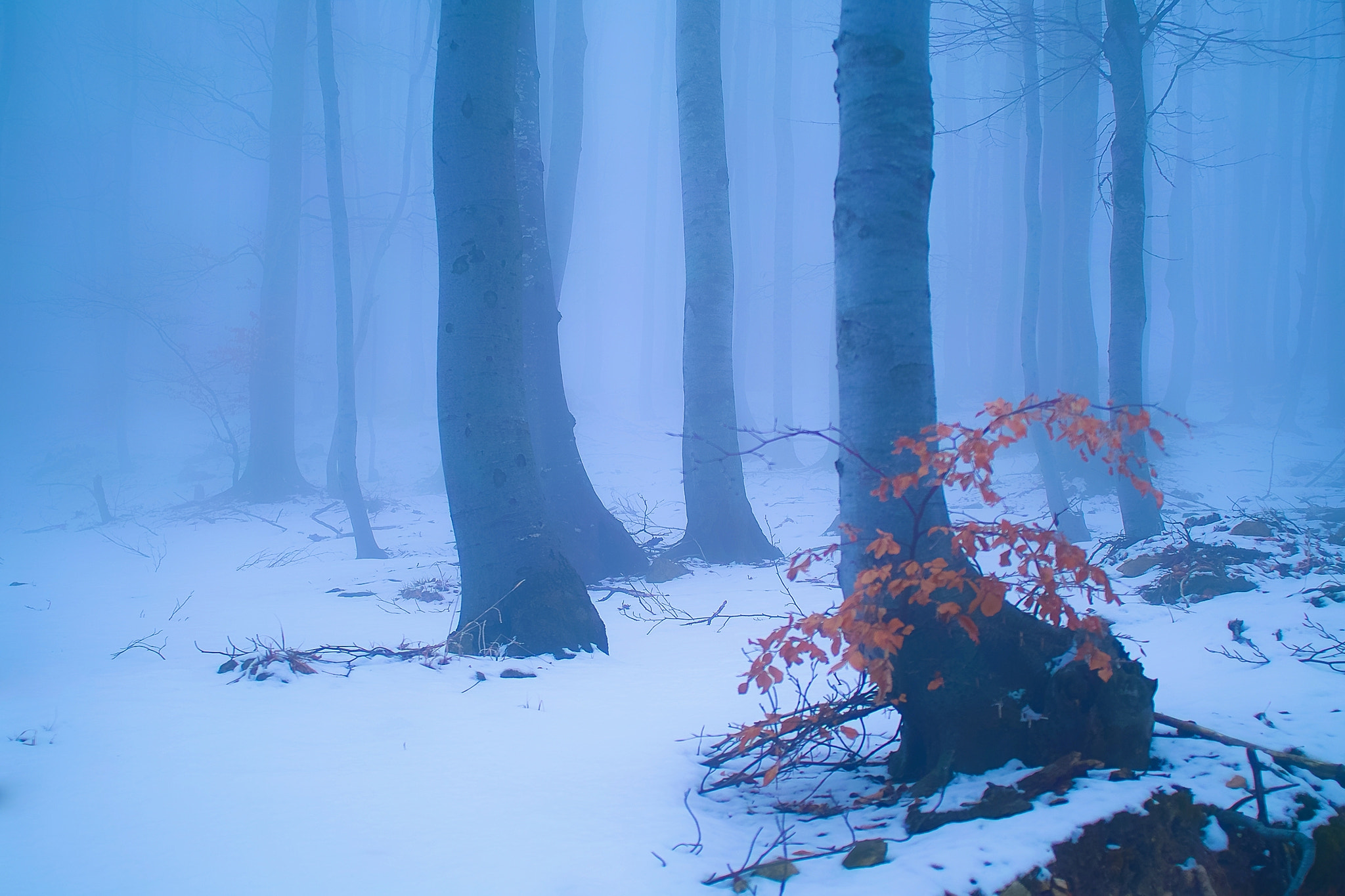 Sigma SD15 sample photo. Winter landscape 6 photography