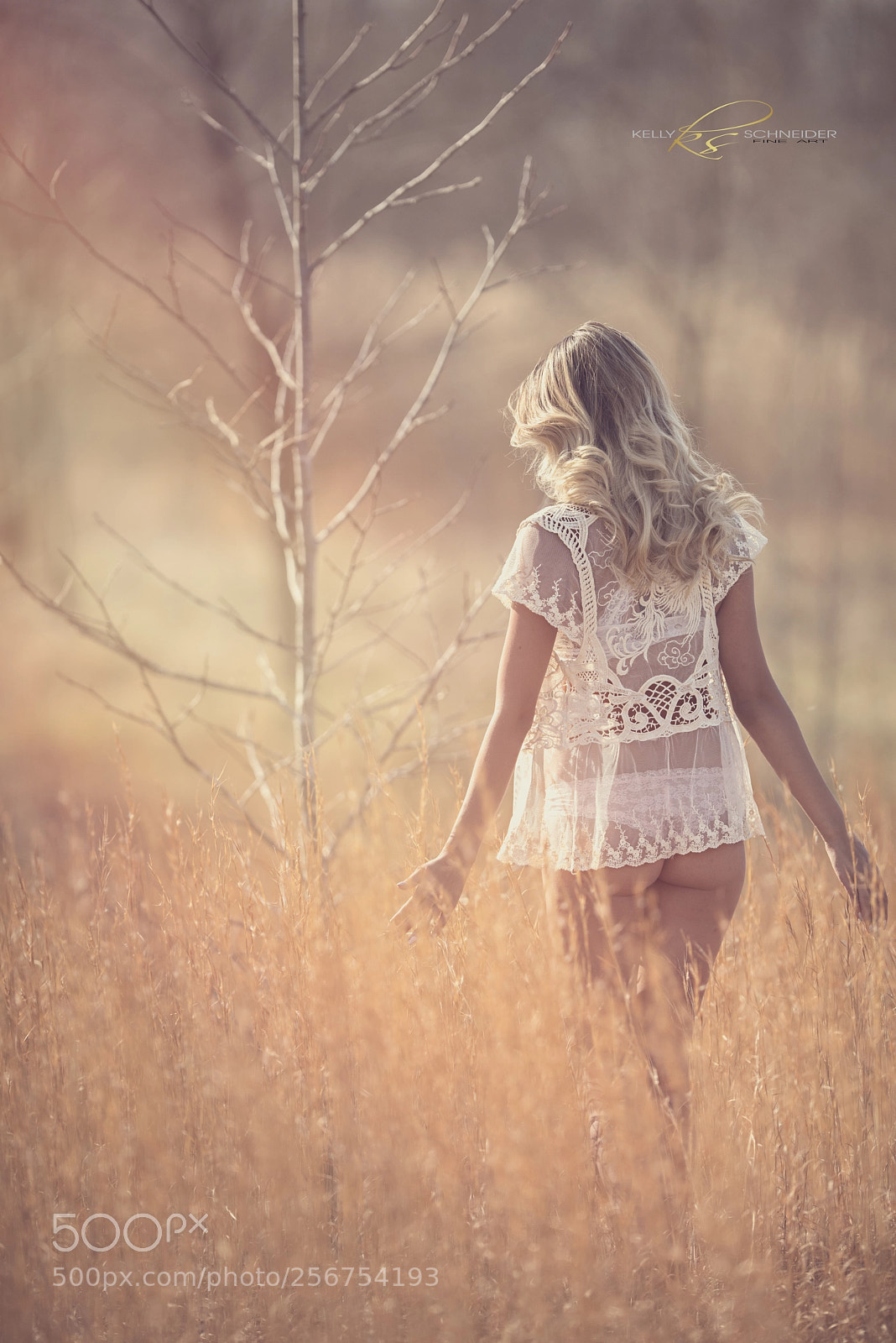 Nikon D810 sample photo. Summertime... photography