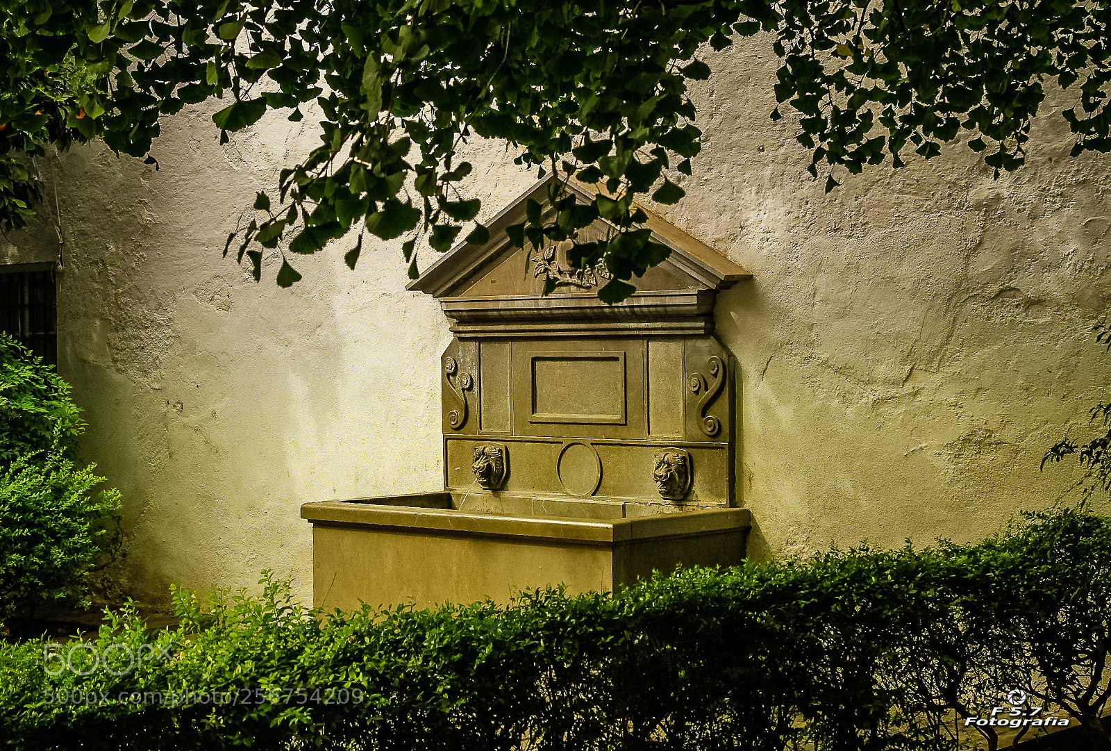 Canon EOS 7D sample photo. Fuente - granada photography