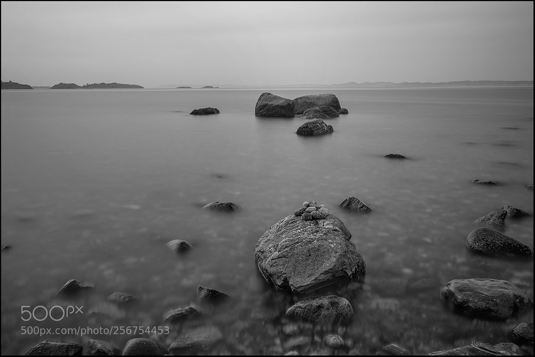 Fujifilm X-T1 sample photo. In silence.... photography