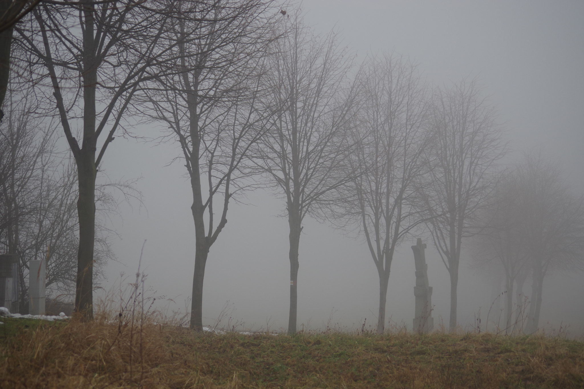 Pentax K-70 + smc Pentax-DA L 50-200mm F4-5.6 ED WR sample photo. Foggy road photography