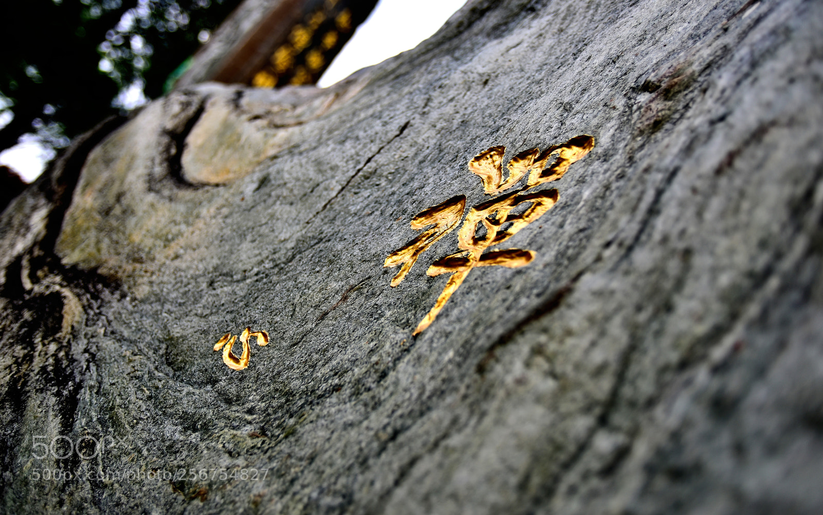 Nikon D750 sample photo. Dsc photography