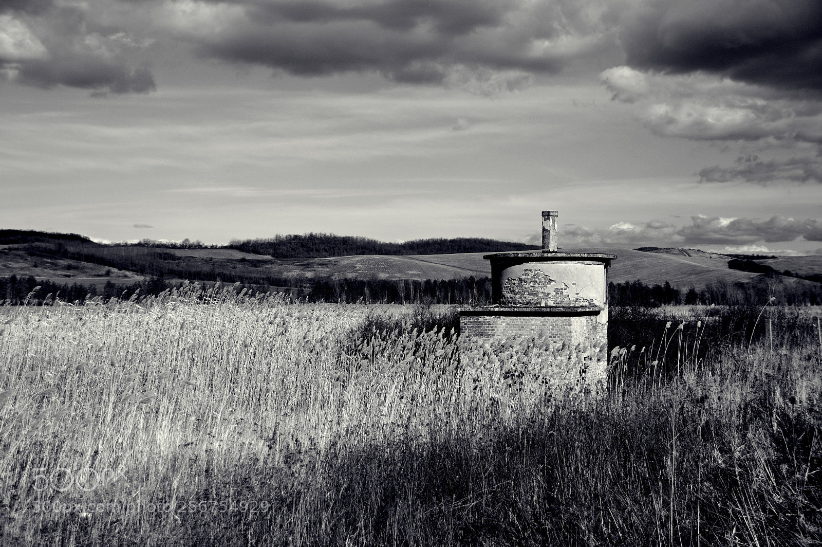 Pentax K-3 sample photo. Something strange photography