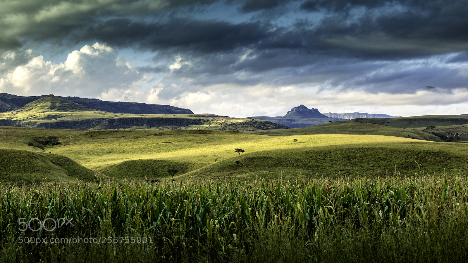 Canon EOS 5D Mark IV sample photo. Drakensberg countryside photography