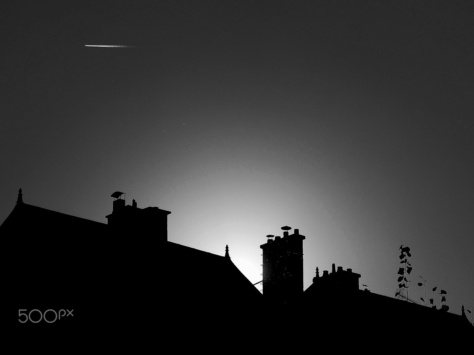 Olympus PEN E-PL6 sample photo. Life in other planets? photography