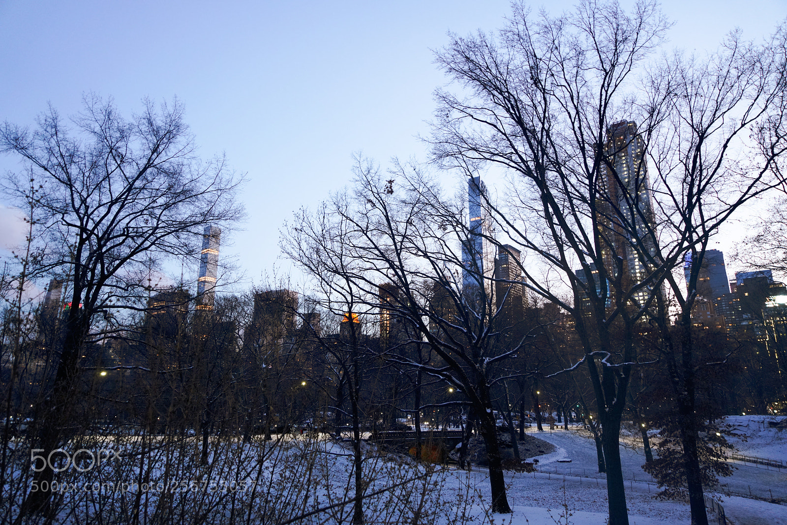 Sony a7R III sample photo. Winter central park new photography