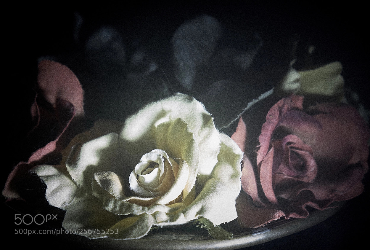 Fujifilm X-T2 sample photo. Still in light painting photography