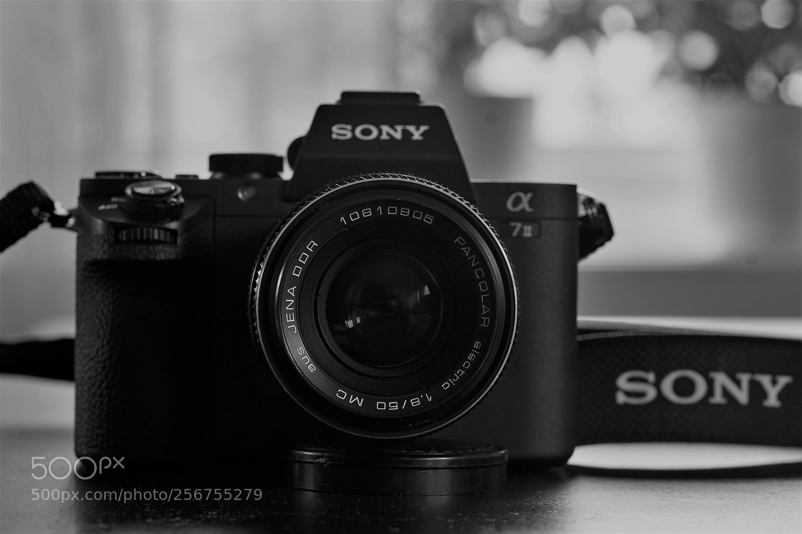 Sony ILCA-77M2 sample photo. Sony a7 ii zeiss photography